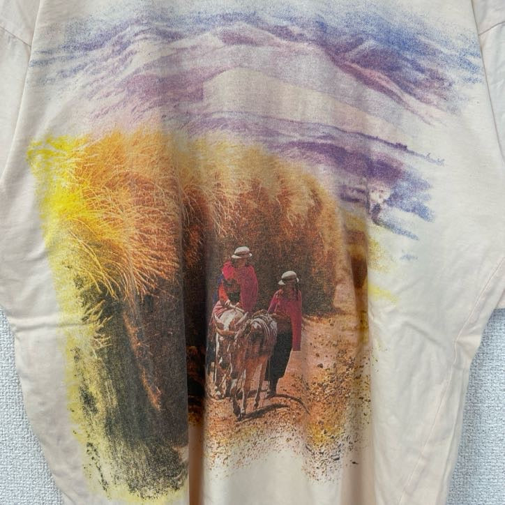 古着 used　lecomte　半袖プリントTシャツ　クルーネック　薄ピンク　レトロ　風景写真デザイン　カジュアル　Lサイズ