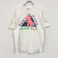 00s　Hanes　ヘインズ　半袖プリントTシャツ　スーベニア　シングルステッチ　ヴィンテージ　白　ホワイト　Lサイズ