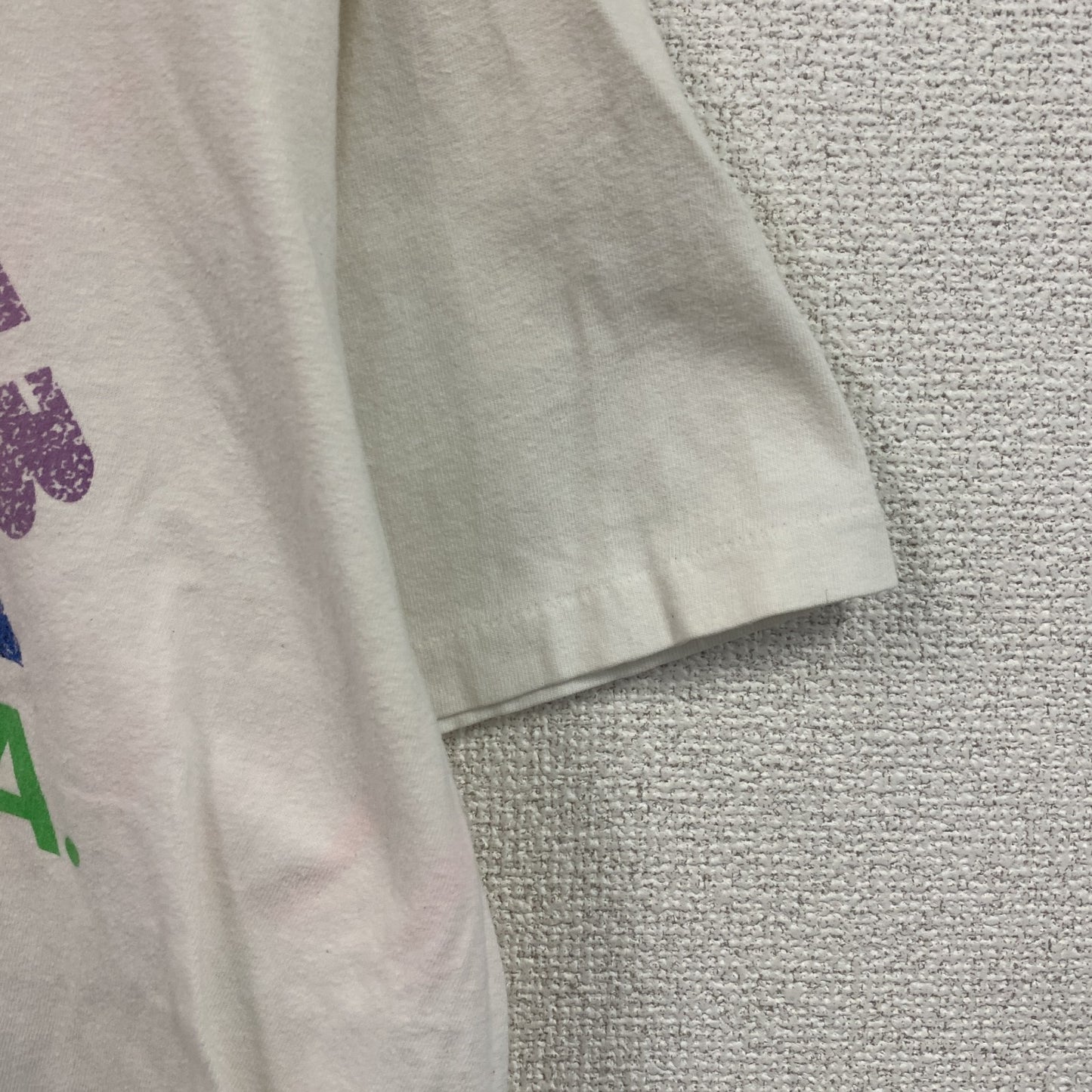 00s　Hanes　ヘインズ　半袖プリントTシャツ　スーベニア　シングルステッチ　ヴィンテージ　白　ホワイト　Lサイズ