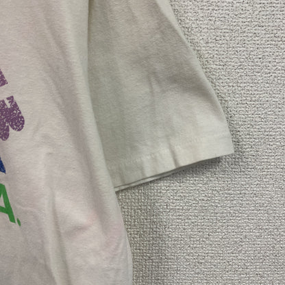 00s　Hanes　ヘインズ　半袖プリントTシャツ　スーベニア　シングルステッチ　ヴィンテージ　白　ホワイト　Lサイズ
