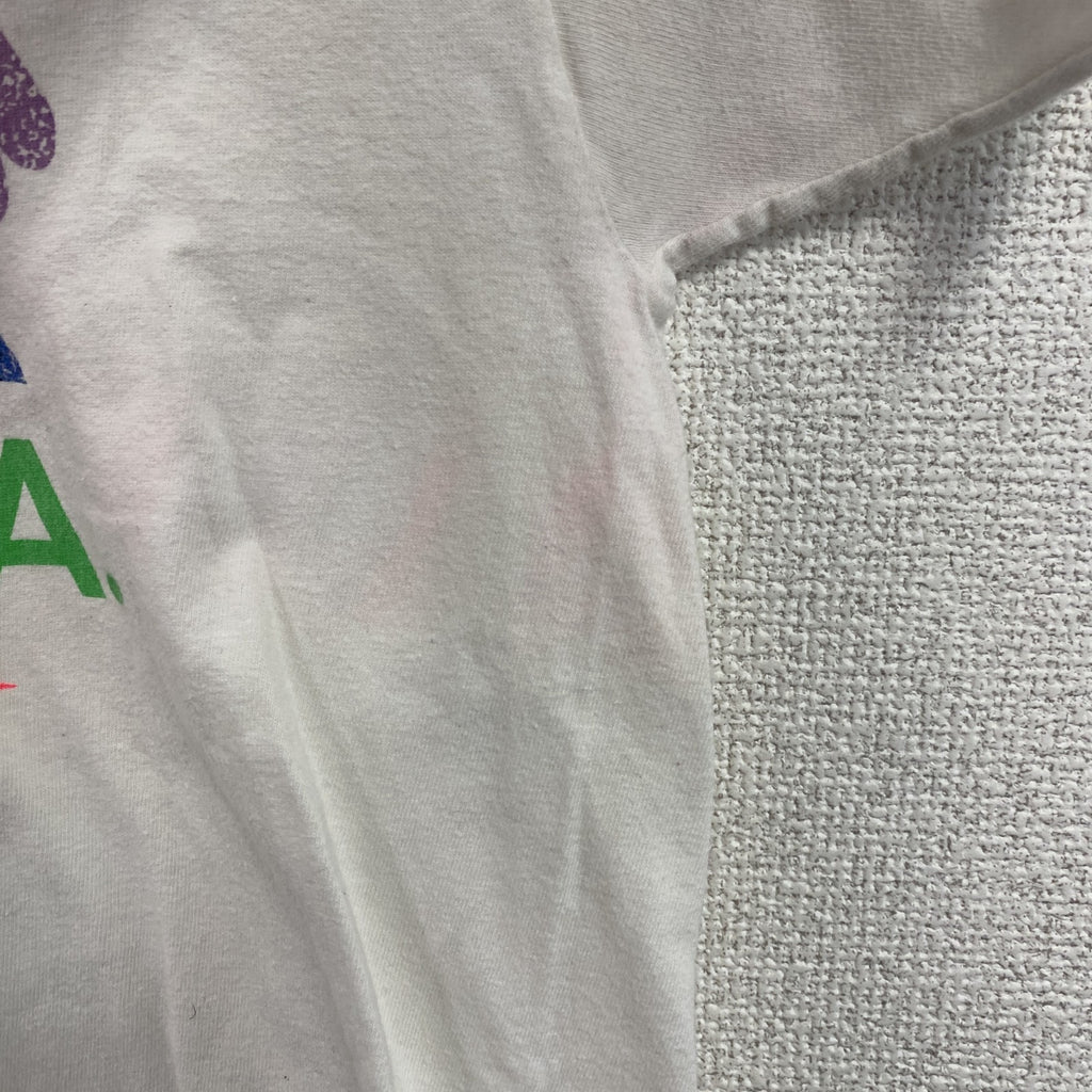 00s　Hanes　ヘインズ　半袖プリントTシャツ　スーベニア　シングルステッチ　ヴィンテージ　白　ホワイト　Lサイズ