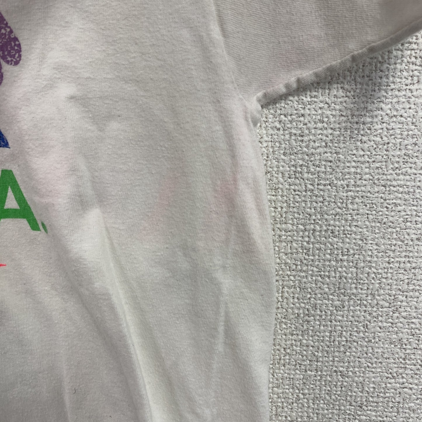00s　Hanes　ヘインズ　半袖プリントTシャツ　スーベニア　シングルステッチ　ヴィンテージ　白　ホワイト　Lサイズ
