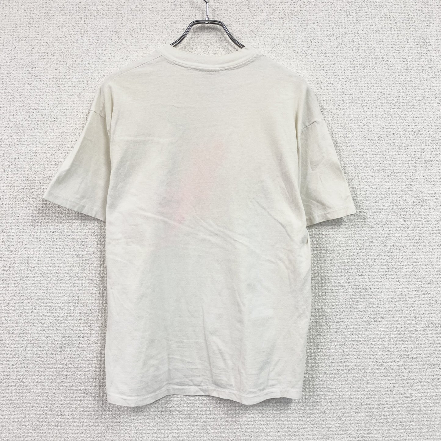 00s　Hanes　ヘインズ　半袖プリントTシャツ　スーベニア　シングルステッチ　ヴィンテージ　白　ホワイト　Lサイズ