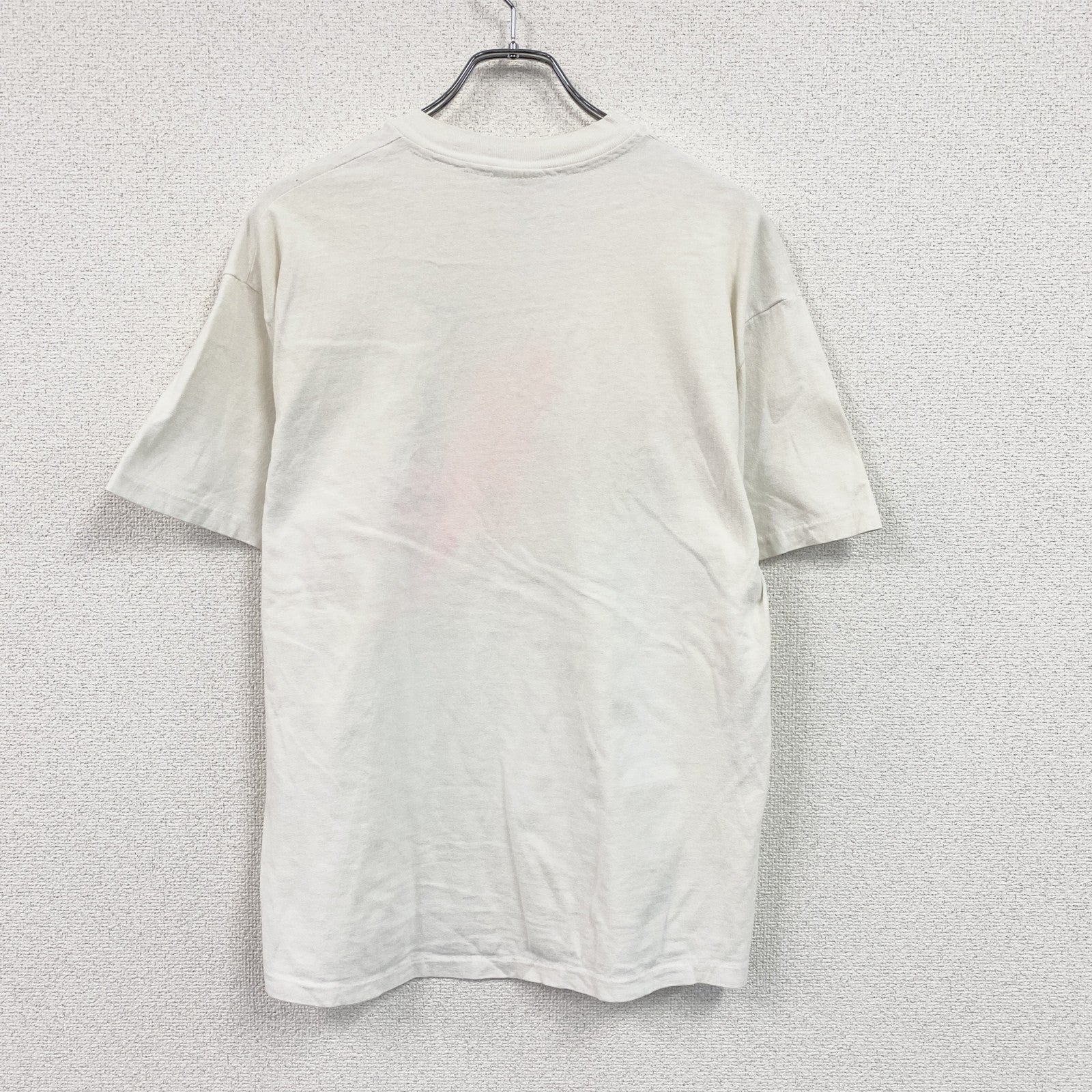 00s　Hanes　ヘインズ　半袖プリントTシャツ　スーベニア　シングルステッチ　ヴィンテージ　白　ホワイト　Lサイズ