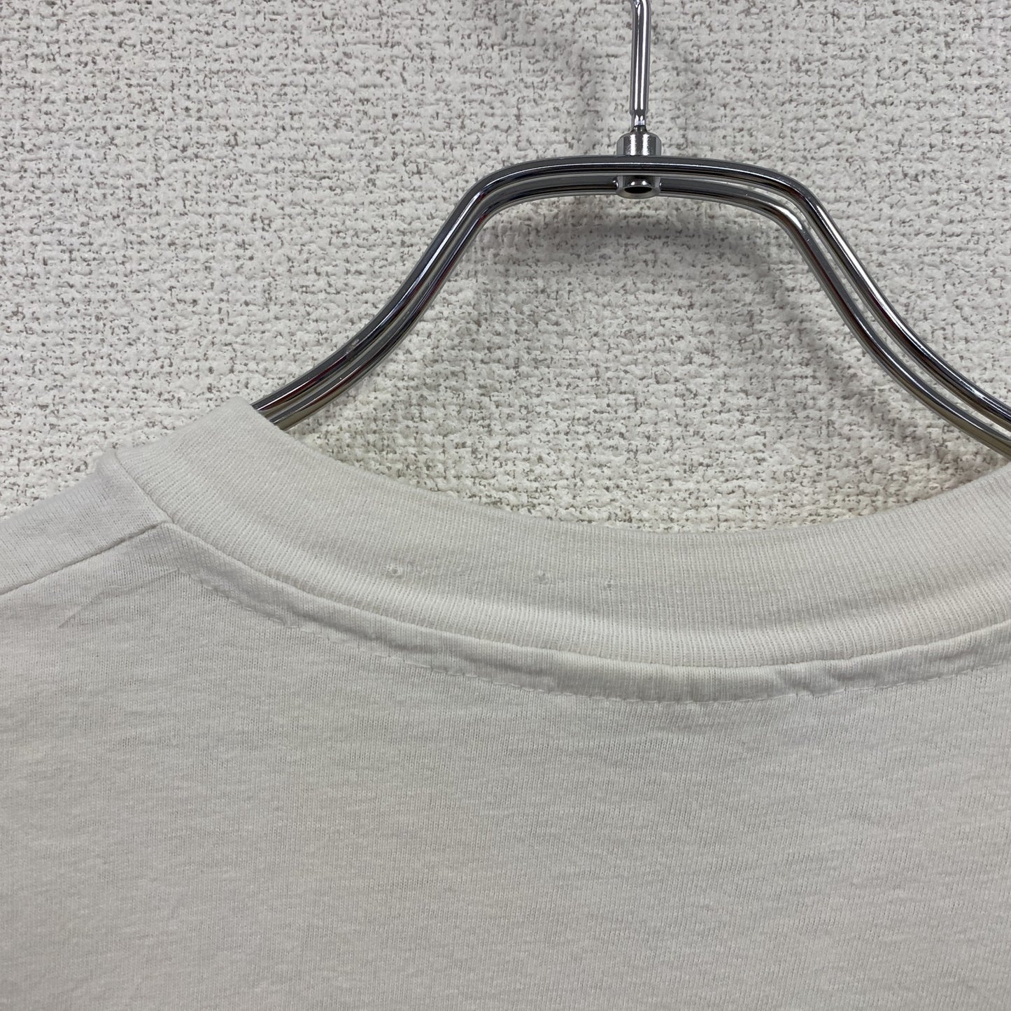 00s　Hanes　ヘインズ　半袖プリントTシャツ　スーベニア　シングルステッチ　ヴィンテージ　白　ホワイト　Lサイズ