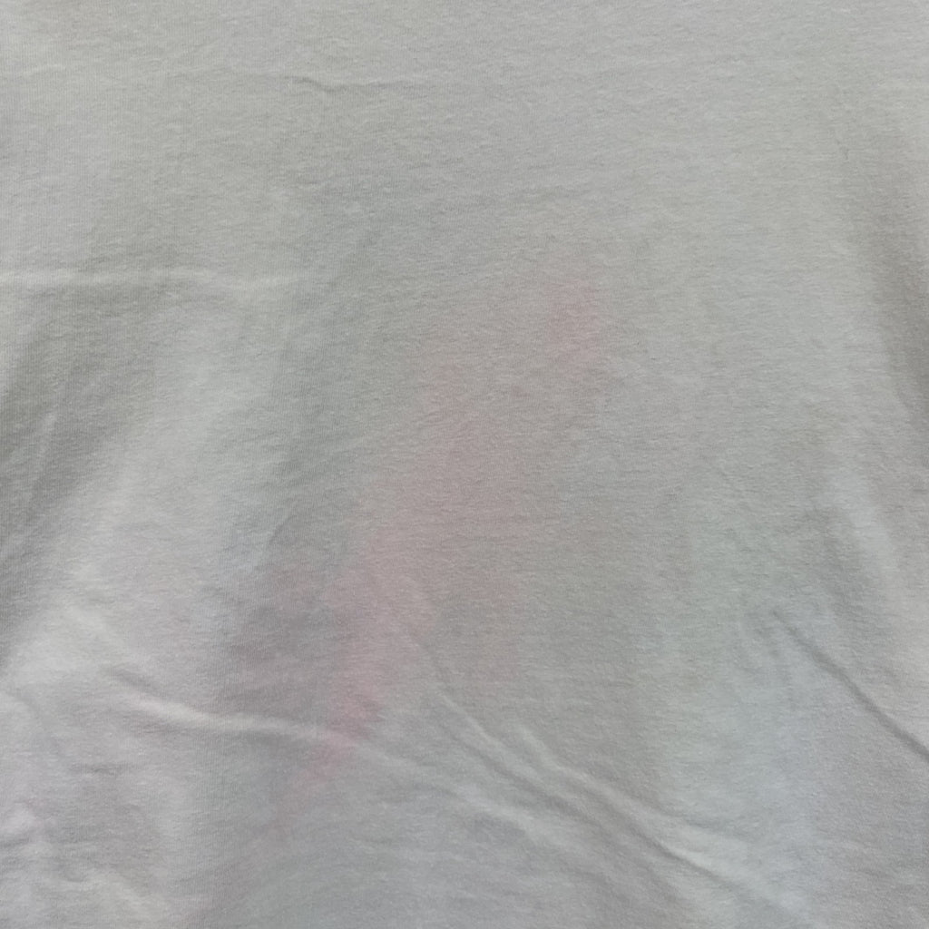 00s　Hanes　ヘインズ　半袖プリントTシャツ　スーベニア　シングルステッチ　ヴィンテージ　白　ホワイト　Lサイズ