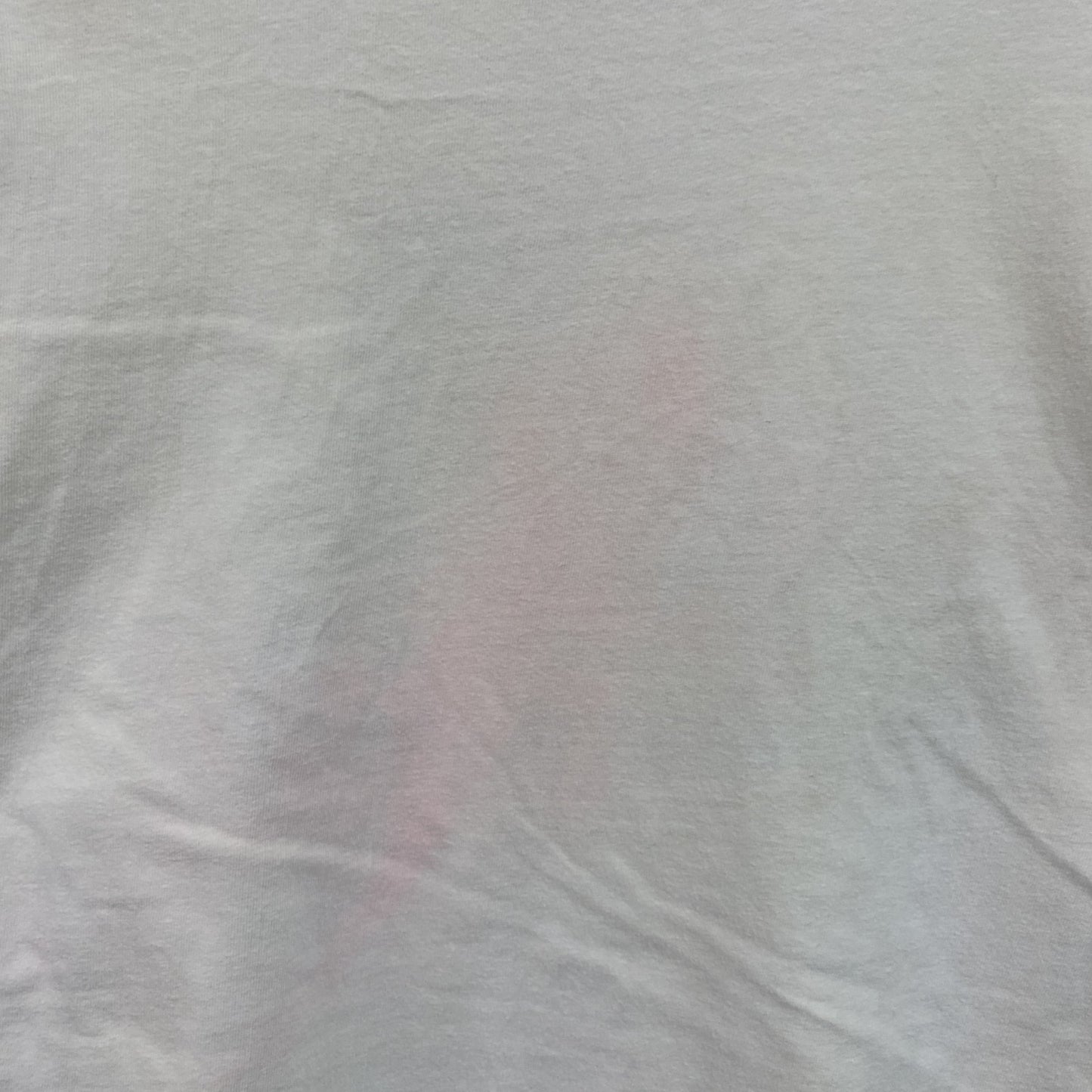 00s　Hanes　ヘインズ　半袖プリントTシャツ　スーベニア　シングルステッチ　ヴィンテージ　白　ホワイト　Lサイズ