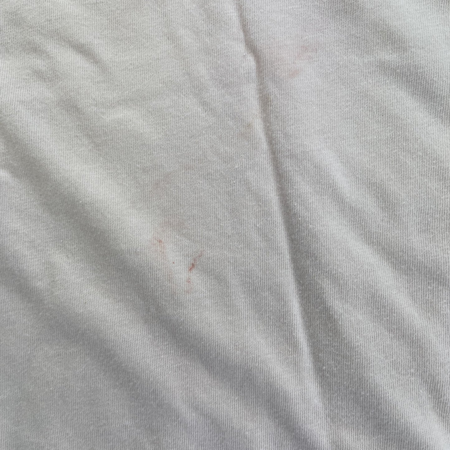 古着 used　lecomte　半袖プリントTシャツ　クルーネック　薄ピンク　レトロ　風景写真デザイン　カジュアル　Lサイズ