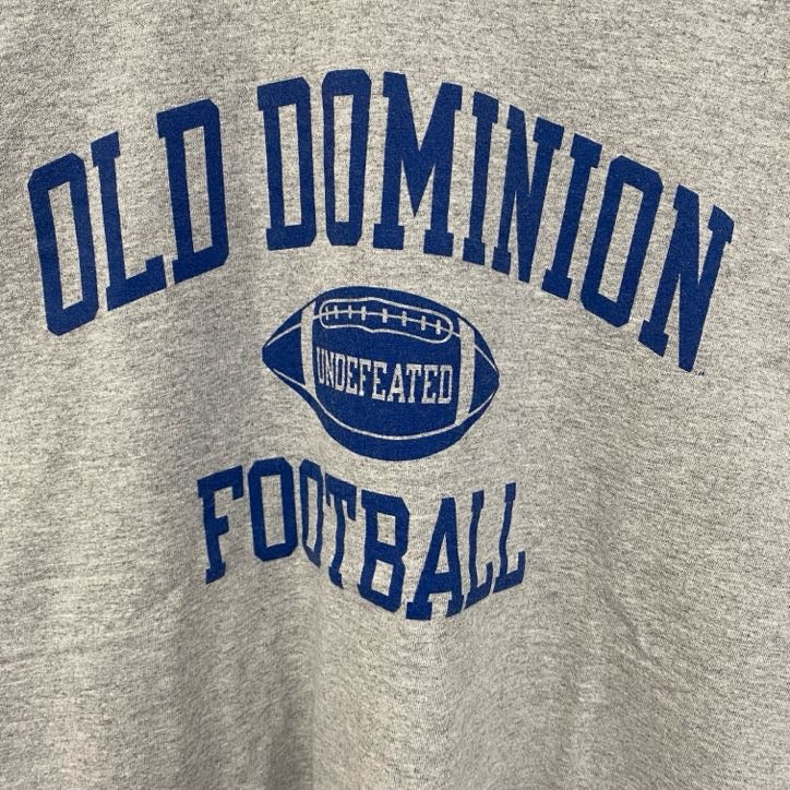 古着 used　champion チャンピオン　半袖プリントTシャツ　オールドドミニオン　フットボール　レトロ　グレー　Lサイズ