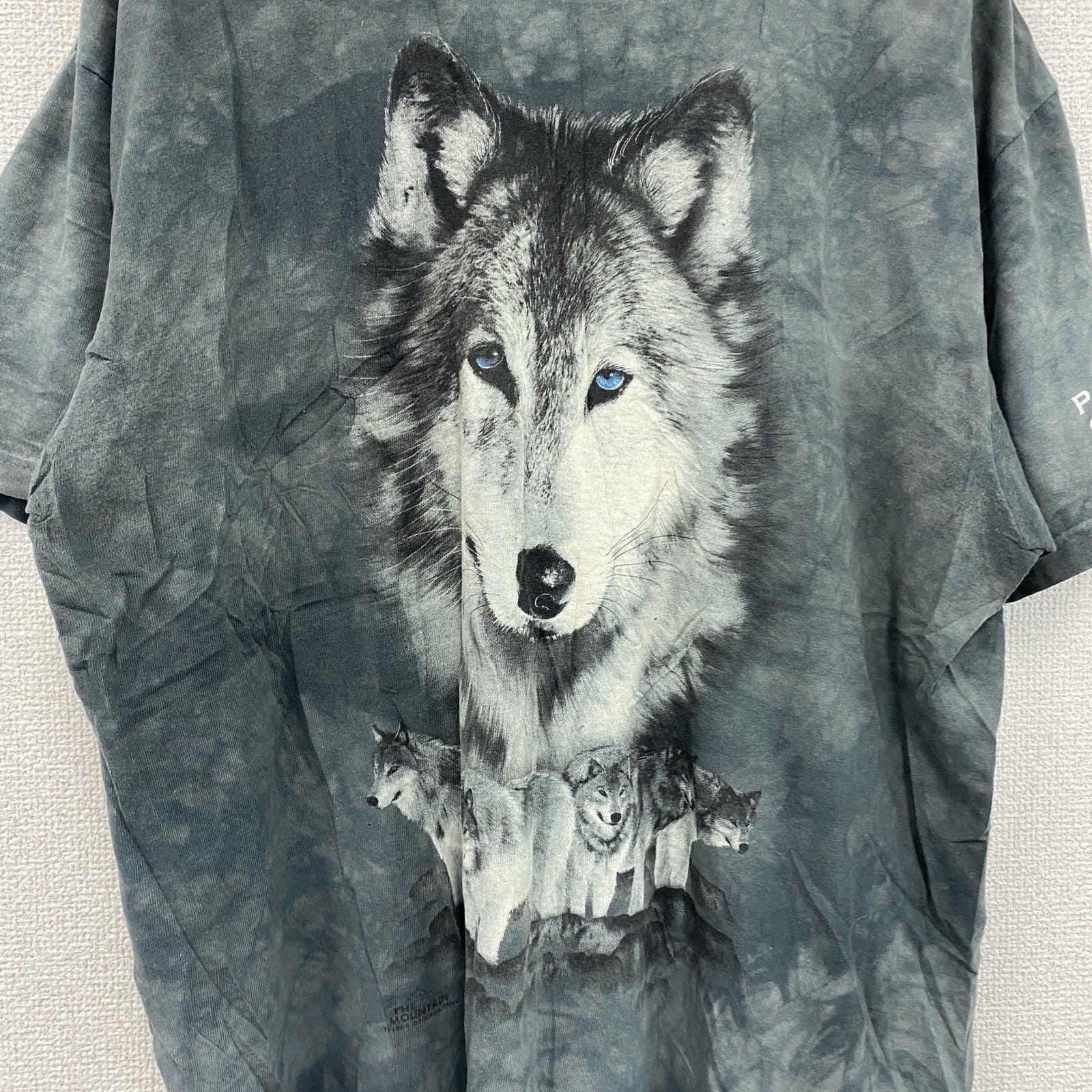 00s　THE MOUNTAIN　半袖プリントTシャツ　アニマルT　タイダイ　灰色　グレー　Mサイズ