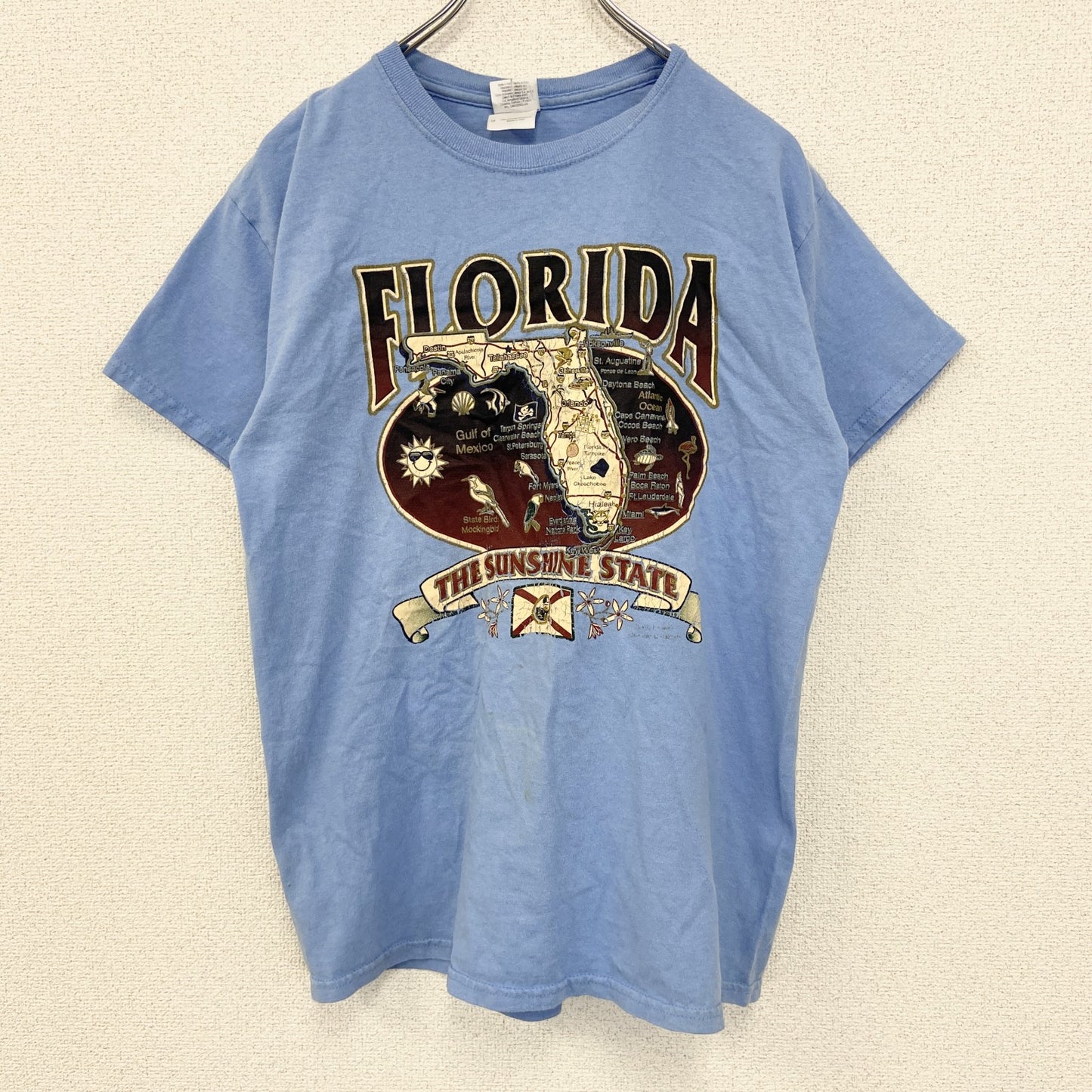 古着 used　GILDAN ギルダン　半袖プリントデザインTシャツ　フロリダ　クルーネック　レトロ　青　ブルー　Mサイズ