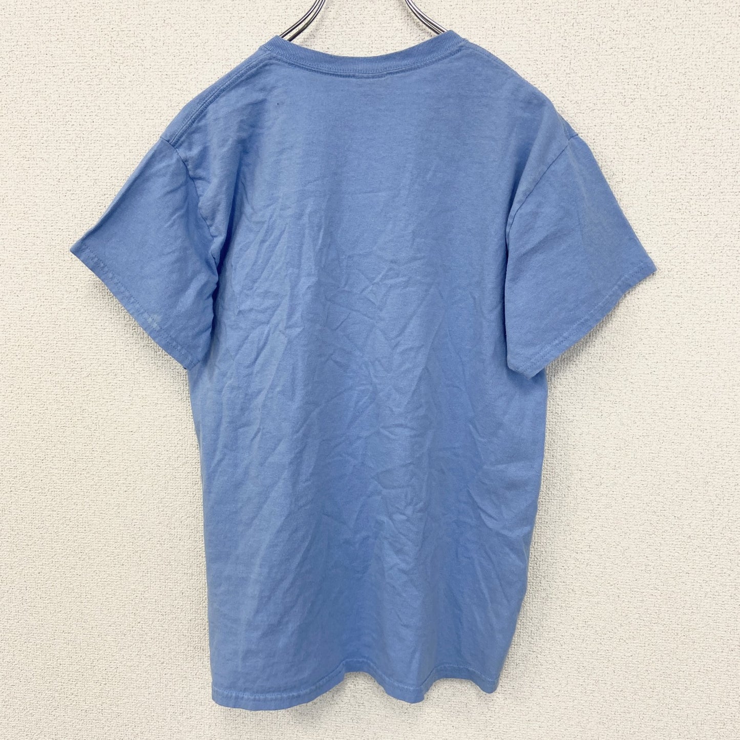 古着 used　GILDAN ギルダン　半袖プリントデザインTシャツ　フロリダ　クルーネック　レトロ　青　ブルー　Mサイズ