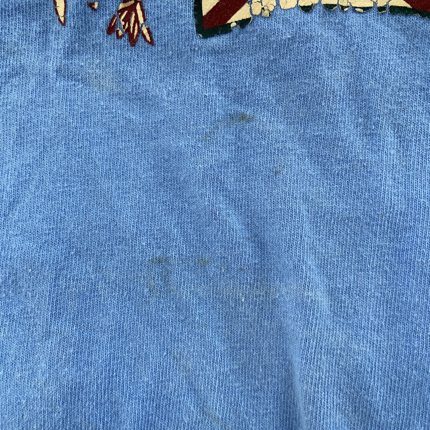 古着 used　GILDAN ギルダン　半袖プリントデザインTシャツ　フロリダ　クルーネック　レトロ　青　ブルー　Mサイズ