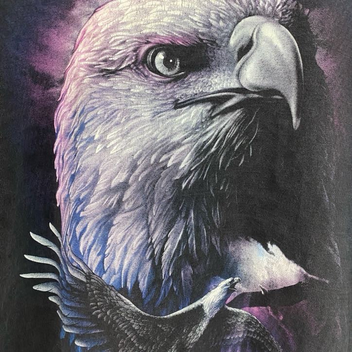 90s～　Rock Chang　半袖Tシャツ　アニマルT　鳥　ヴィンテージ　黒　ブラック　Mサイズ