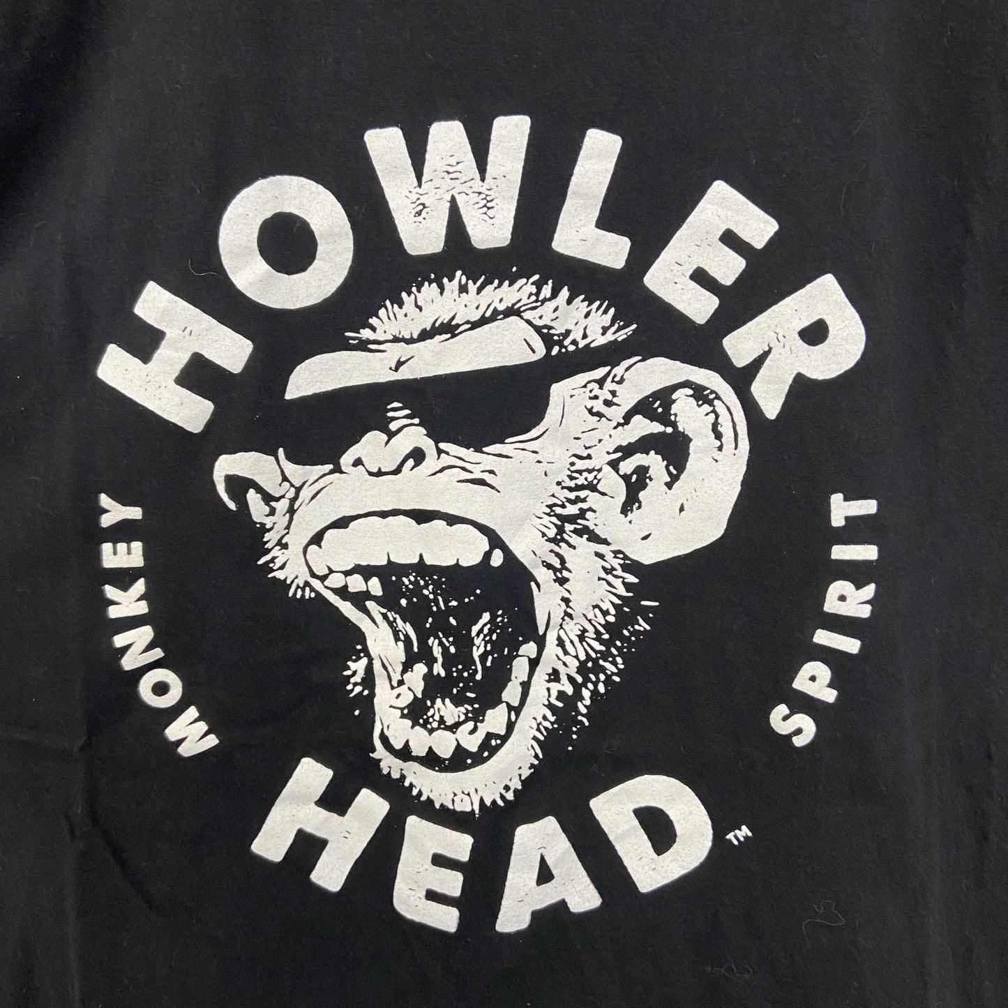 古着 used　GILDAN ギルダン　半袖プリントTシャツ　Howler Head ハウラーヘッド　黒　ブラック　Lサイズ