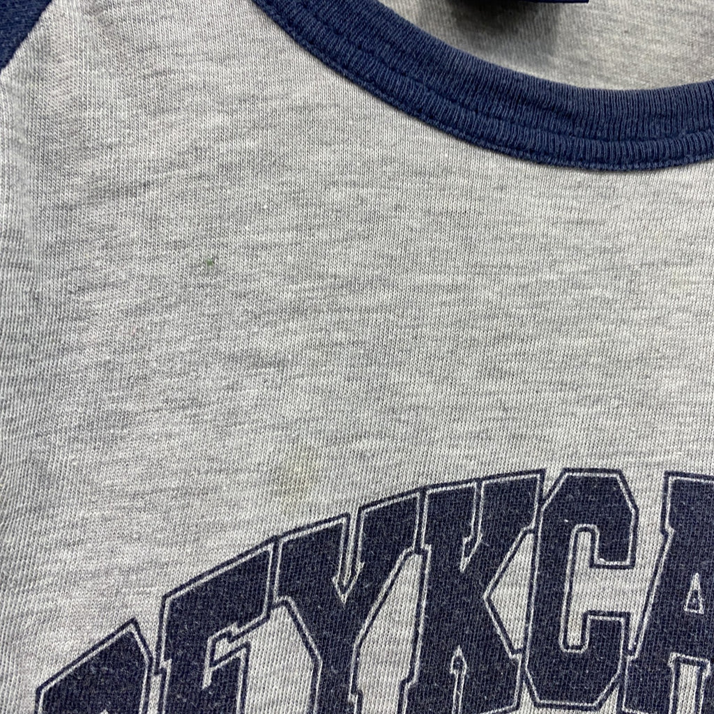PANHARD　半袖プリントTシャツ　ラグランT　灰色　グレー　紺　ネイビー　Lサイズ