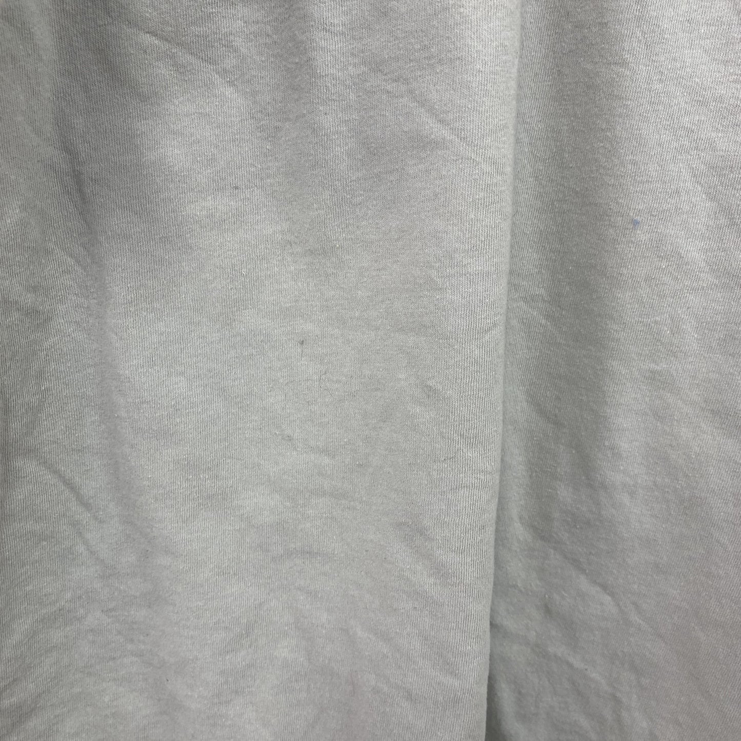 ARIANA GRANDE　アリアナ・グランデ　半袖プリントTシャツ　灰色　グレー　Lサイズ