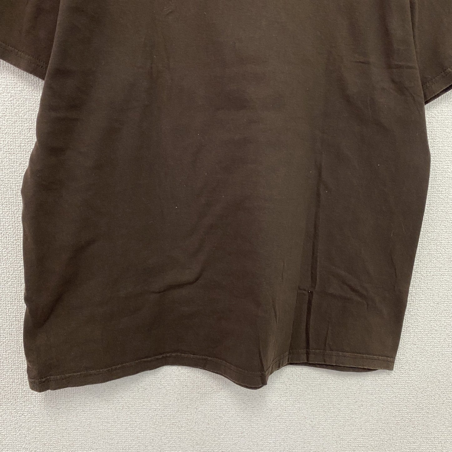 GILDAN　ギルダン　Group Home　グループホーム　半袖プリントTシャツ　ラップT　茶色　ブラウン　Lサイズ