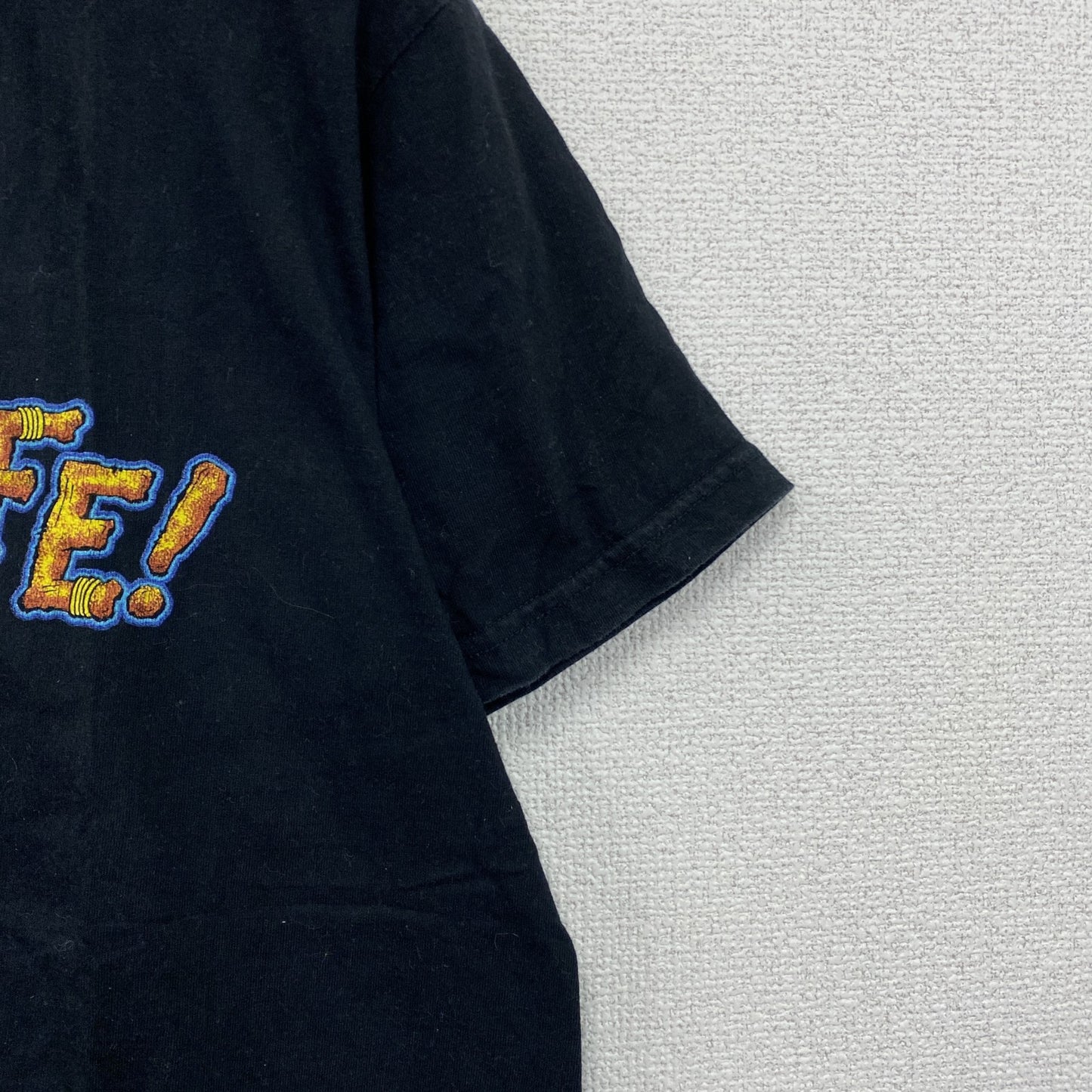 90s～　YORK　ヨーク　半袖プリントTシャツ　スーベニア　ヴィンテージ　黒　ブラック　Lサイズ