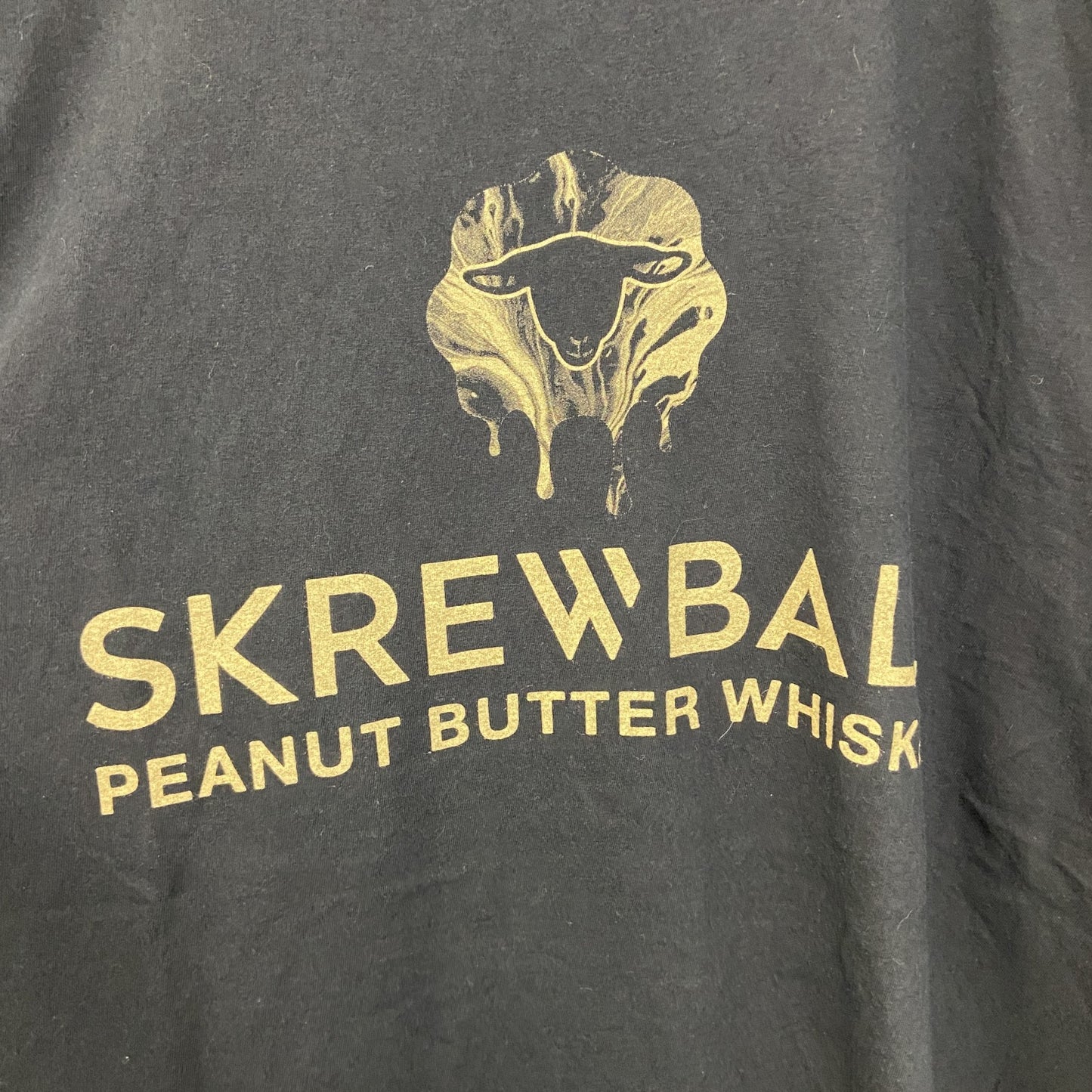 古着 used　GILDAN ギルダン　半袖デザインプリントTシャツ　SKREWEALL　クルーネック　黒　XLサイズ