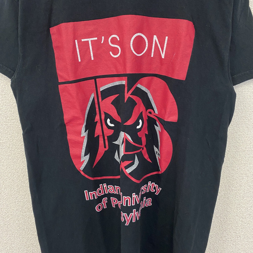 GILDAN　ギルダン　半袖ビッグプリントTシャツ　英字プリント　両面プリント　インディアン　黒　ブラック　Sサイズ