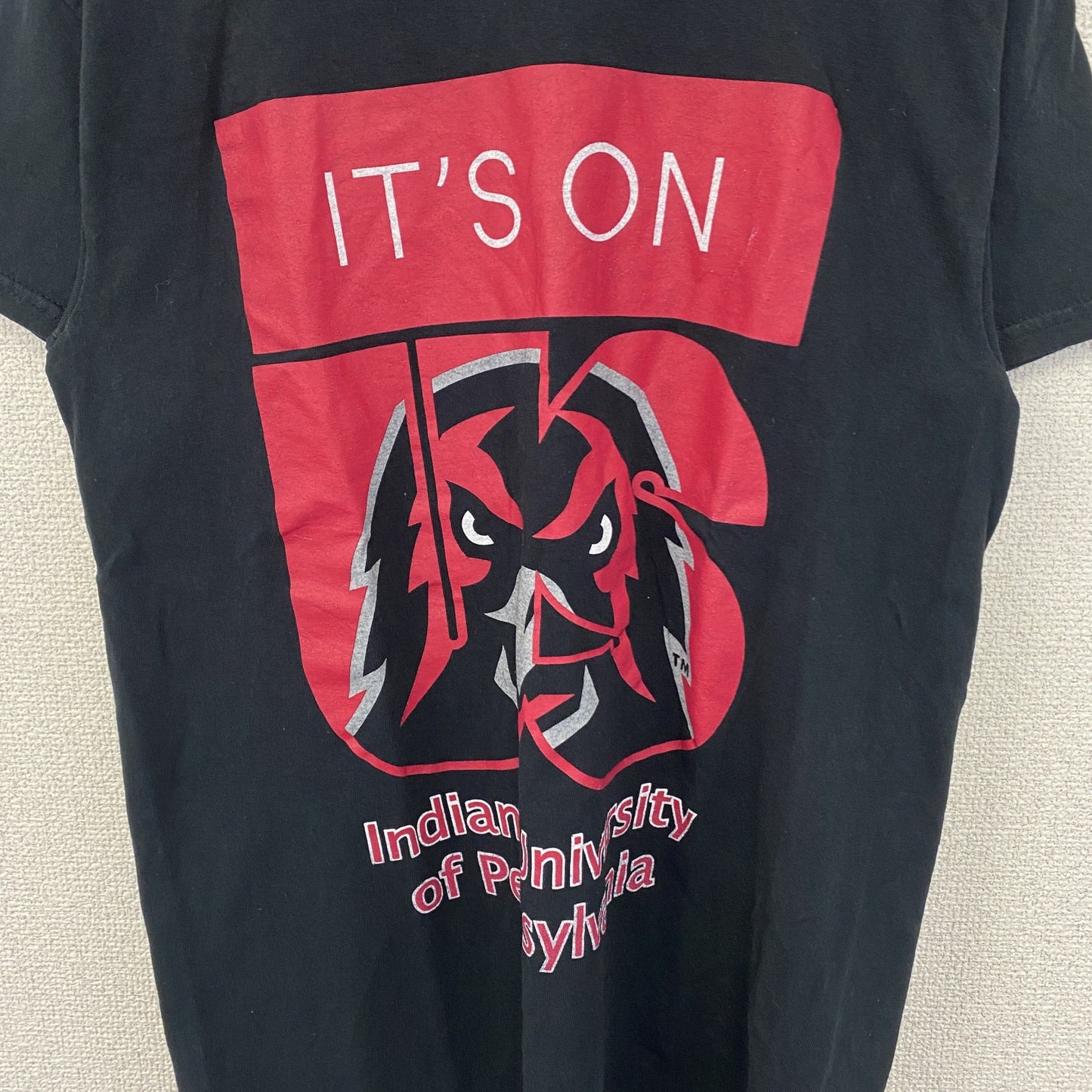 GILDAN　ギルダン　半袖ビッグプリントTシャツ　英字プリント　両面プリント　インディアン　黒　ブラック　Sサイズ