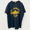GILDAN　ギルダン　半袖プリントTシャツ　アーチプリント　両面プリント　黒　ブラック　Lサイズ