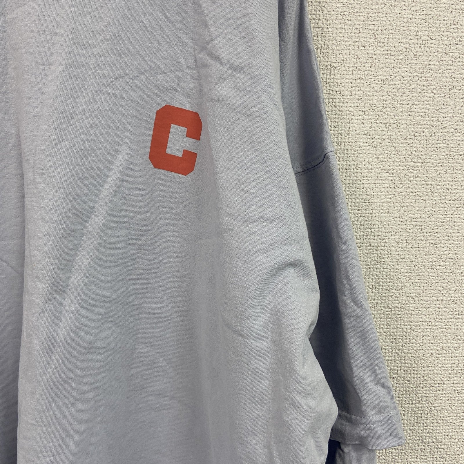Champion　チャンピオン　長袖プリントTシャツ/ロンT　デカロゴ　刺繍ロゴ　水色　ライトブルー　FREEサイズ