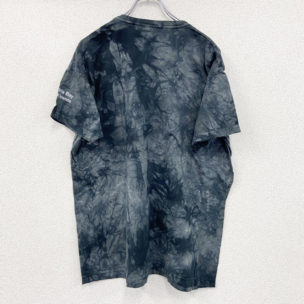 THE MOUNTAIN　ザマウンテン　半袖プリントTシャツ　アニマルT　タイダイ　黒　ブラック　2XLサイズ