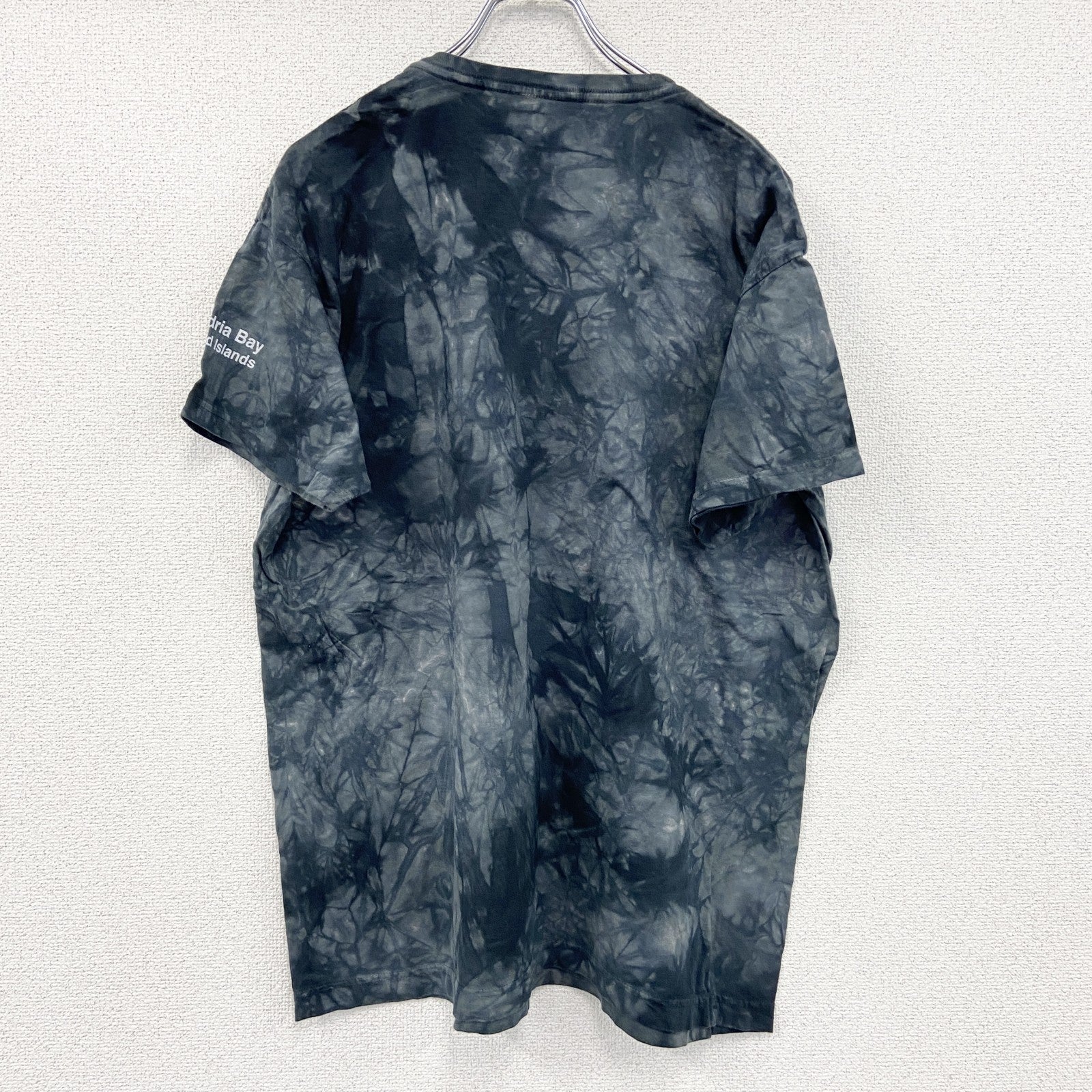 THE MOUNTAIN　ザマウンテン　半袖プリントTシャツ　アニマルT　タイダイ　黒　ブラック　2XLサイズ
