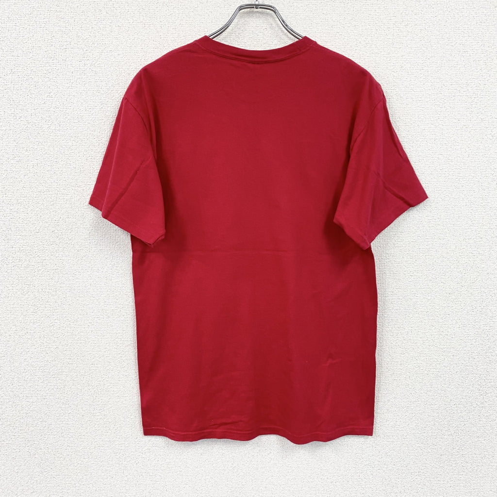 00s　Hanes　ヘインズ　マイケルジャクソン　半袖シンガーTシャツ　King of Pop　ヴィンテージ　赤　レッド　Mサイズ