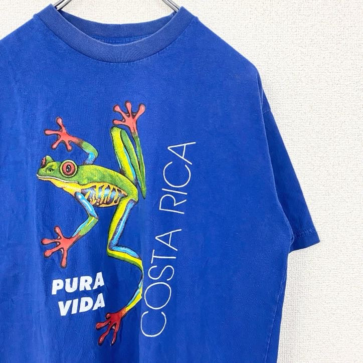 古着 used　半袖イラストプリントTシャツ　カエル　コスタリカ　PURA VIDA　青　ブルー　レトロデザイン　Lサイズ