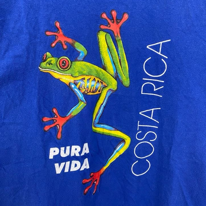 古着 used　半袖イラストプリントTシャツ　カエル　コスタリカ　PURA VIDA　青　ブルー　レトロデザイン　Lサイズ