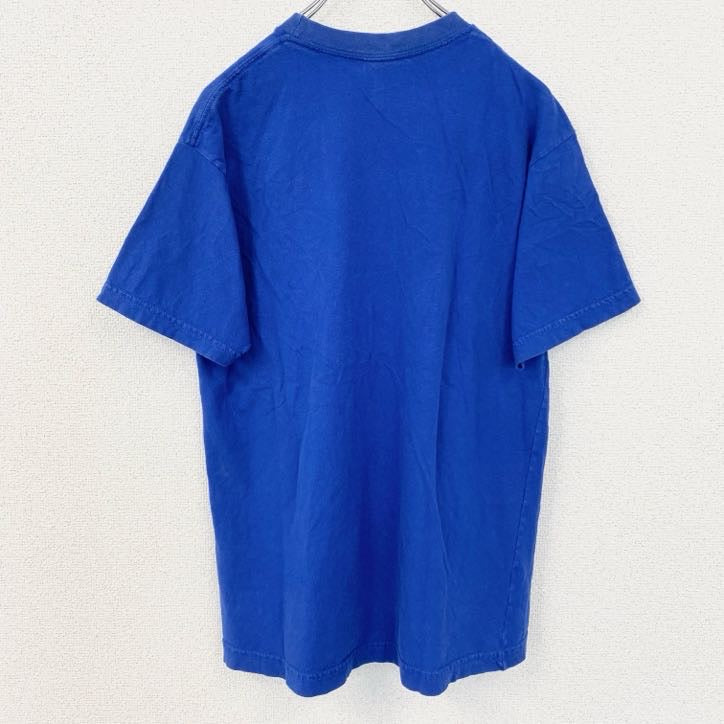古着 used　半袖イラストプリントTシャツ　カエル　コスタリカ　PURA VIDA　青　ブルー　レトロデザイン　Lサイズ