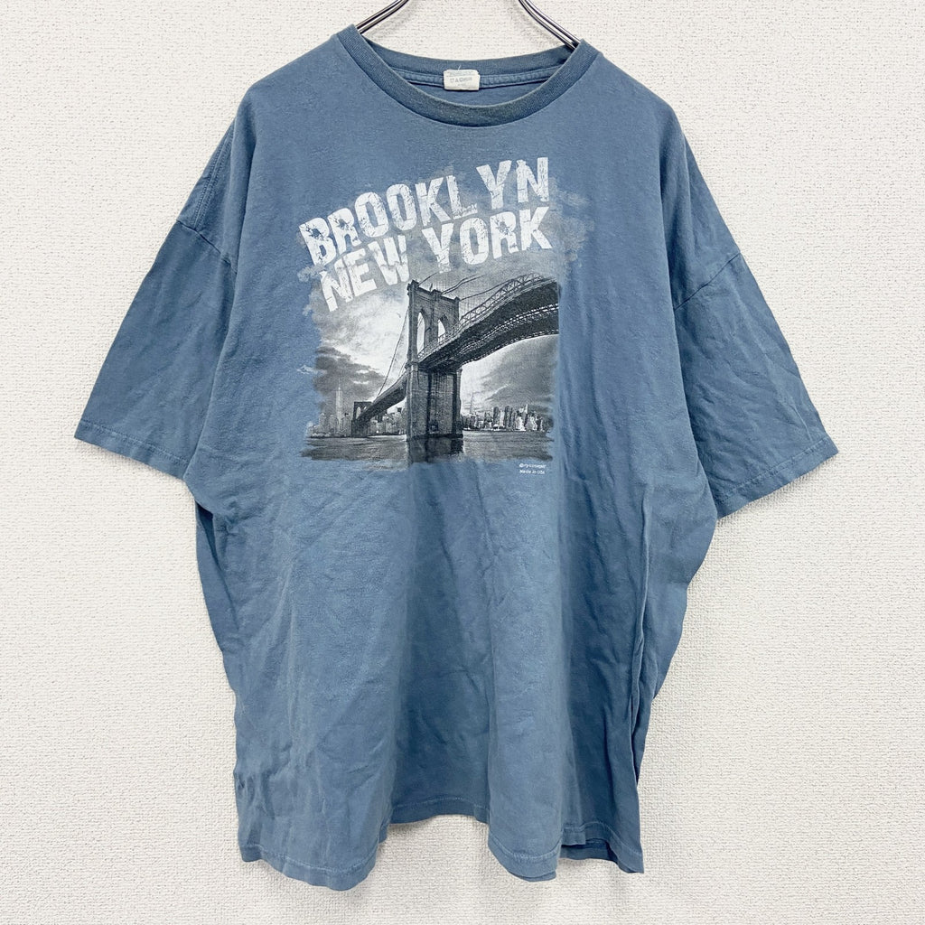 DELTA PRO WEIGHT　半袖プリントTシャツ　水色　ライトブルー　3XLサイズ