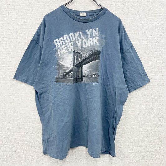 DELTA PRO WEIGHT　半袖プリントTシャツ　水色　ライトブルー　3XLサイズ
