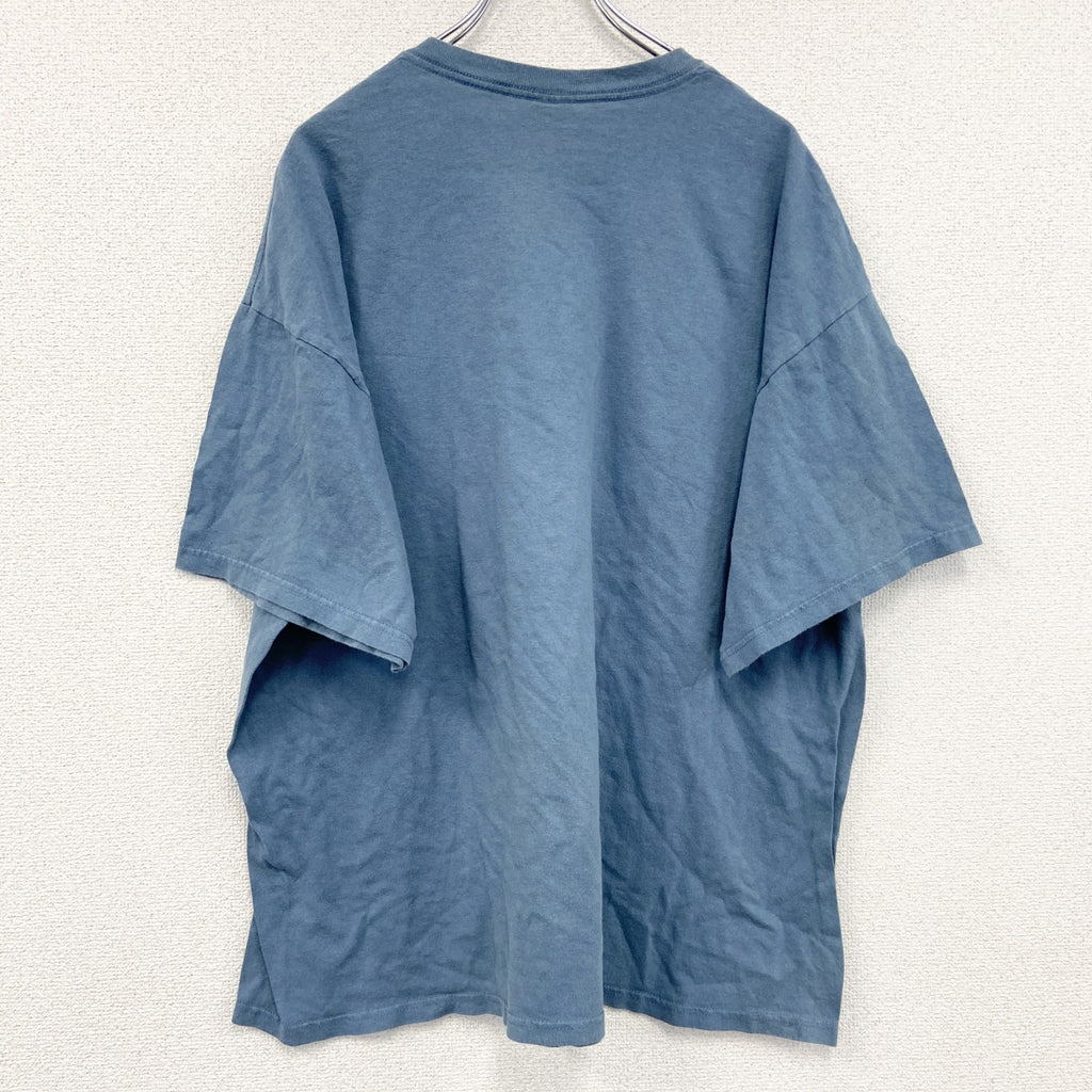 DELTA PRO WEIGHT　半袖プリントTシャツ　水色　ライトブルー　3XLサイズ