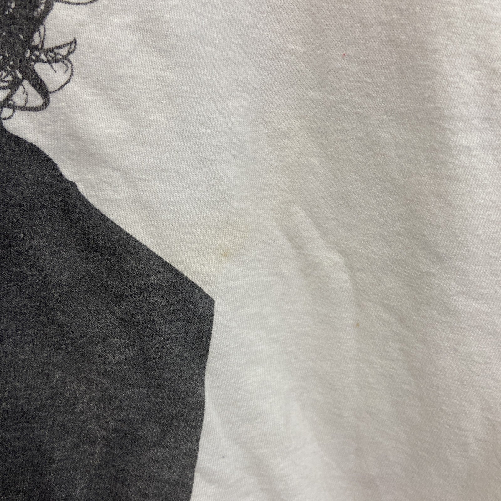 CONTROL　ICE CUBE　アイスキューブ　半袖プリントTシャツ　白　ホワイト　Ｍサイズ