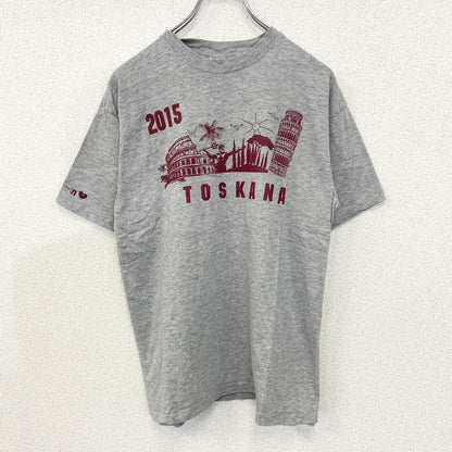 古着 used　sg　半袖プリントTシャツ　TOSKANA　2015　カジュアルデザイン　クルーネック　レトロ　グレー　Sサイズ