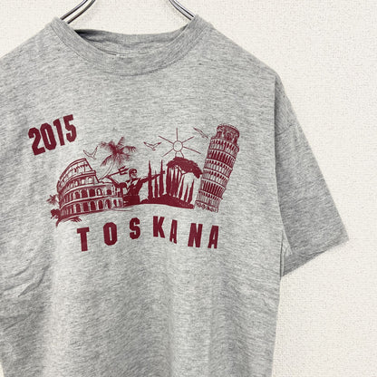 古着 used　sg　半袖プリントTシャツ　TOSKANA　2015　カジュアルデザイン　クルーネック　レトロ　グレー　Sサイズ