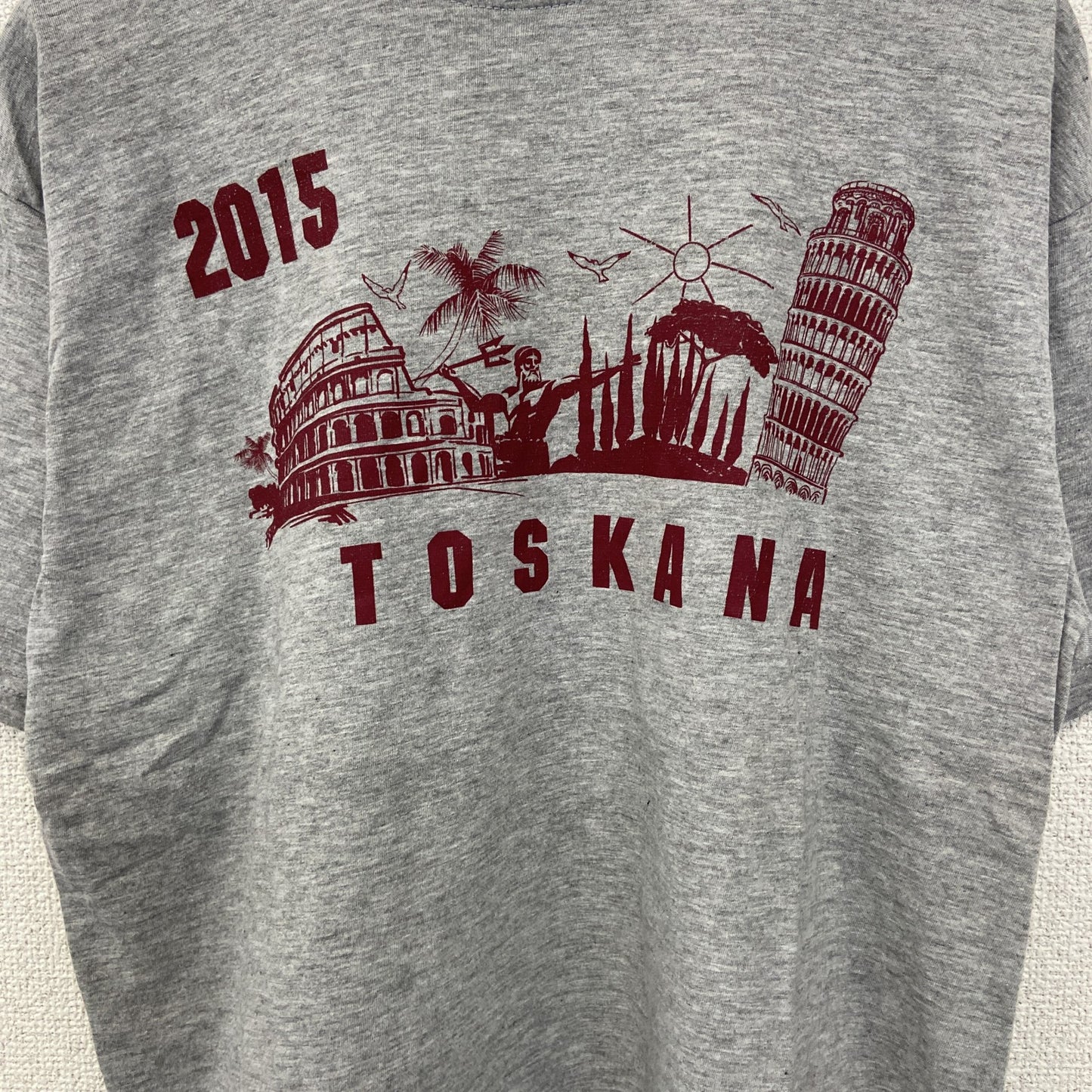 古着 used　sg　半袖プリントTシャツ　TOSKANA　2015　カジュアルデザイン　クルーネック　レトロ　グレー　Sサイズ