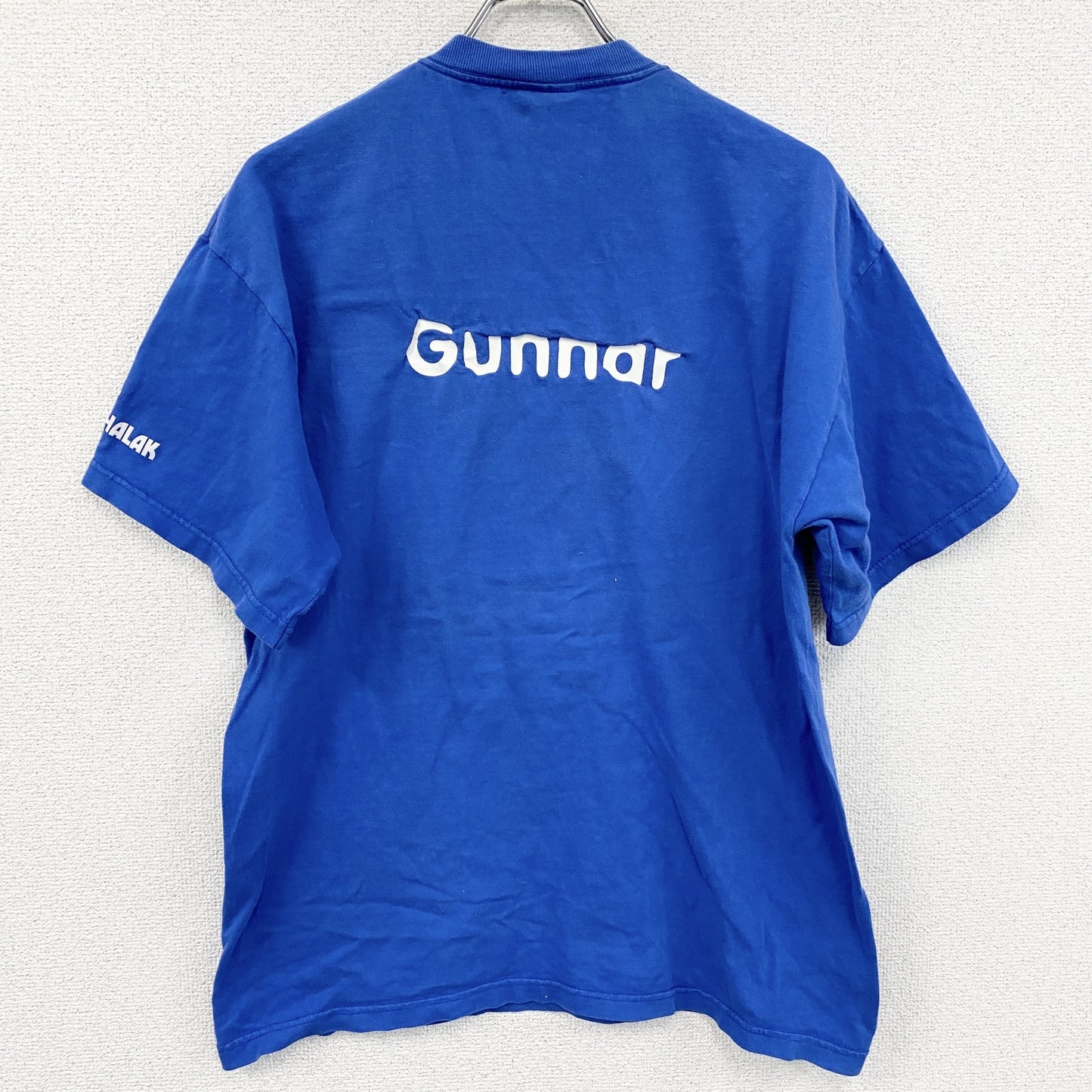 SCREEN STARS　半袖プリントTシャツ　青　ブルー　Lサイズ