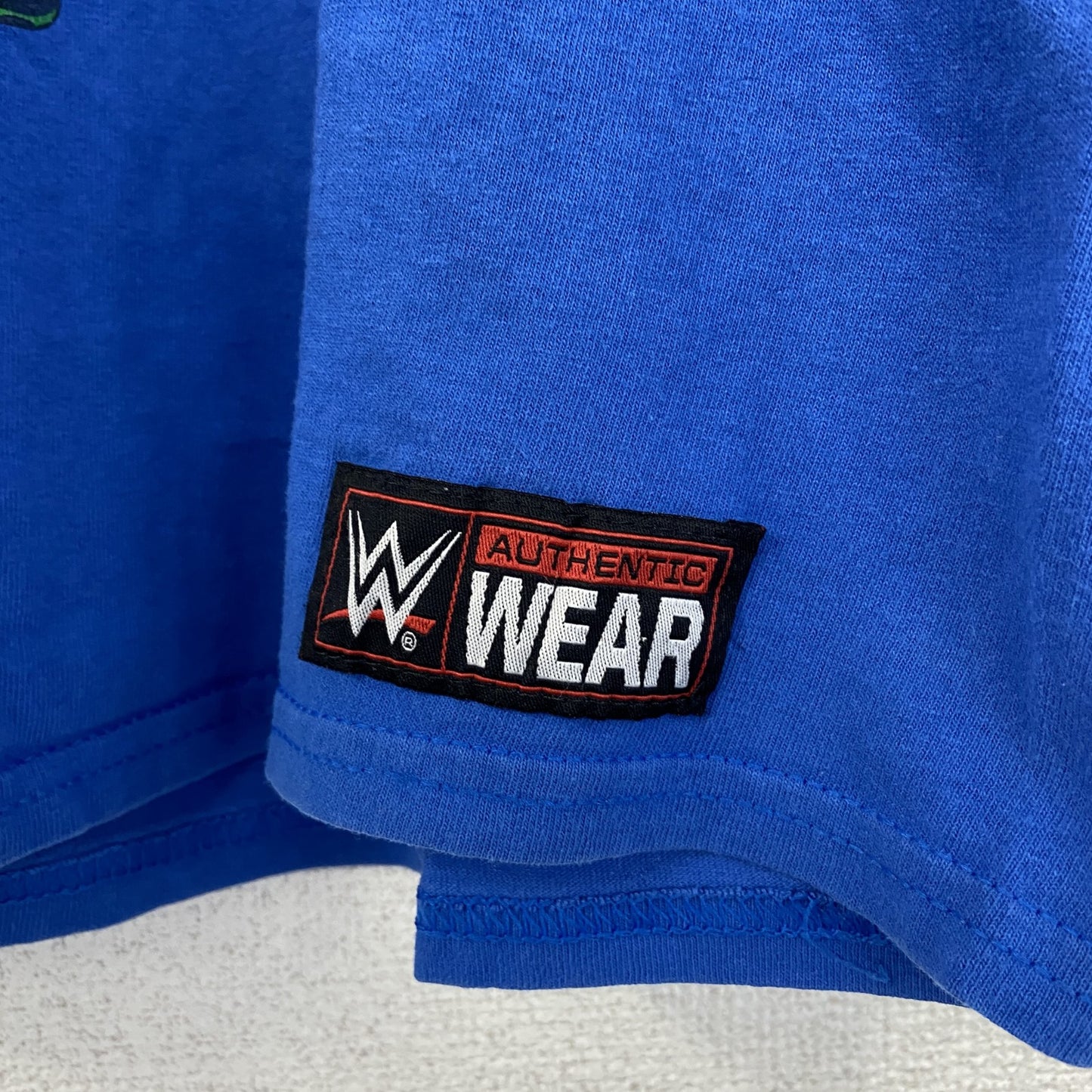 AUTHENTIC　半袖プリントTシャツ　ビックデザイン　両面プリント　クルーネック　青　ブルー　Mサイズ