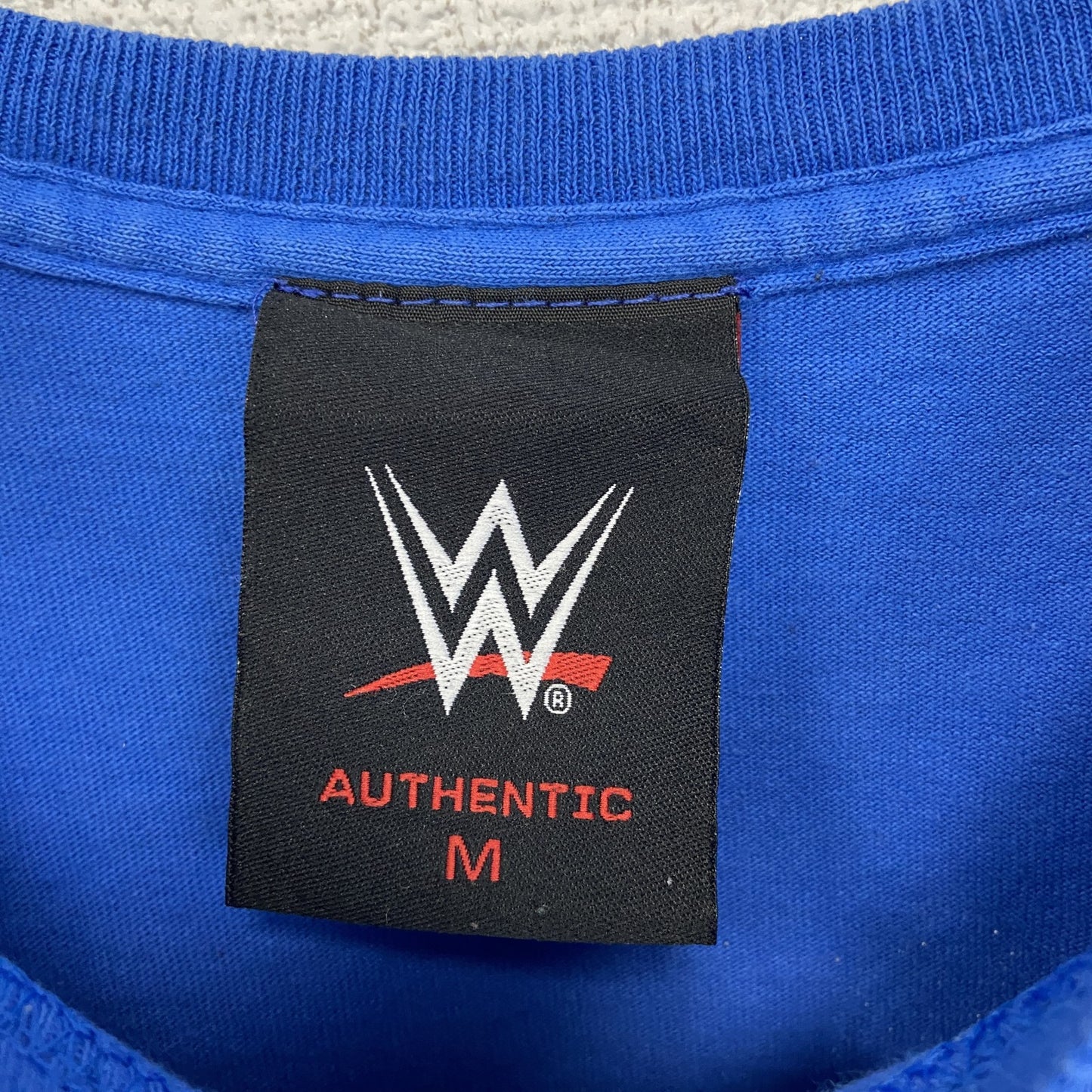 AUTHENTIC　半袖プリントTシャツ　ビックデザイン　両面プリント　クルーネック　青　ブルー　Mサイズ