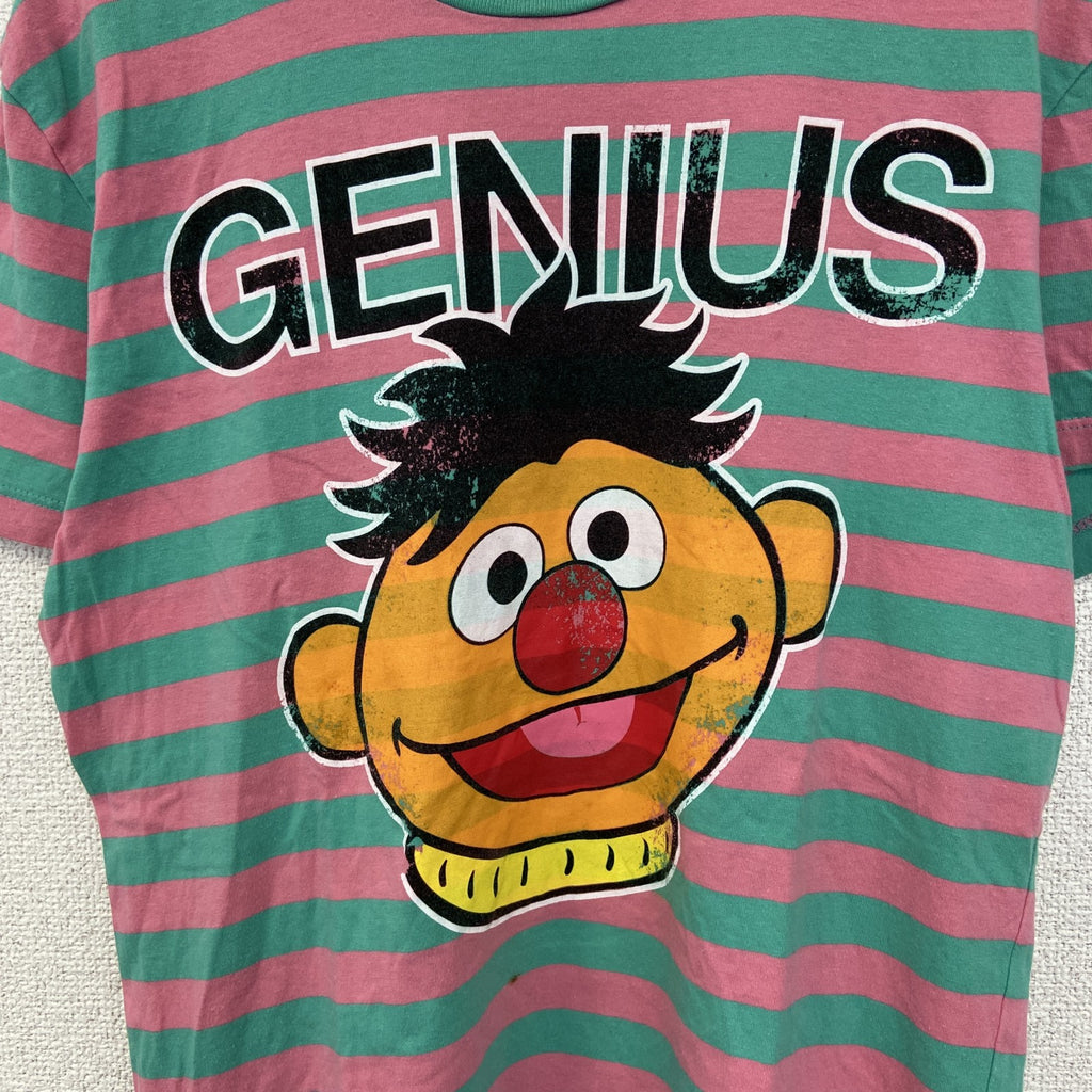 古着 used　SESAME STREET　半袖オリジナルプリントTシャツ　アーニー　ボーダー柄　バイカラー　ピンク　緑　Lサイズ