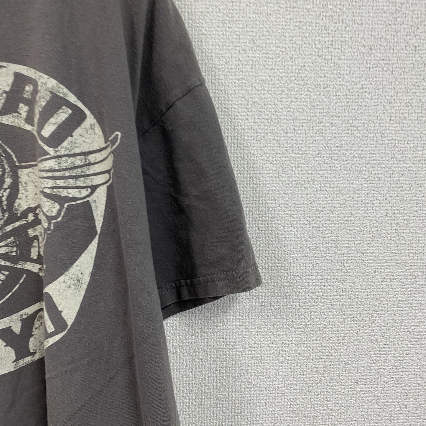 GILDAN　ギルダン　レーナードスキナード　半袖プリントTシャツ　バンドＴ　グレー　Lサイズ