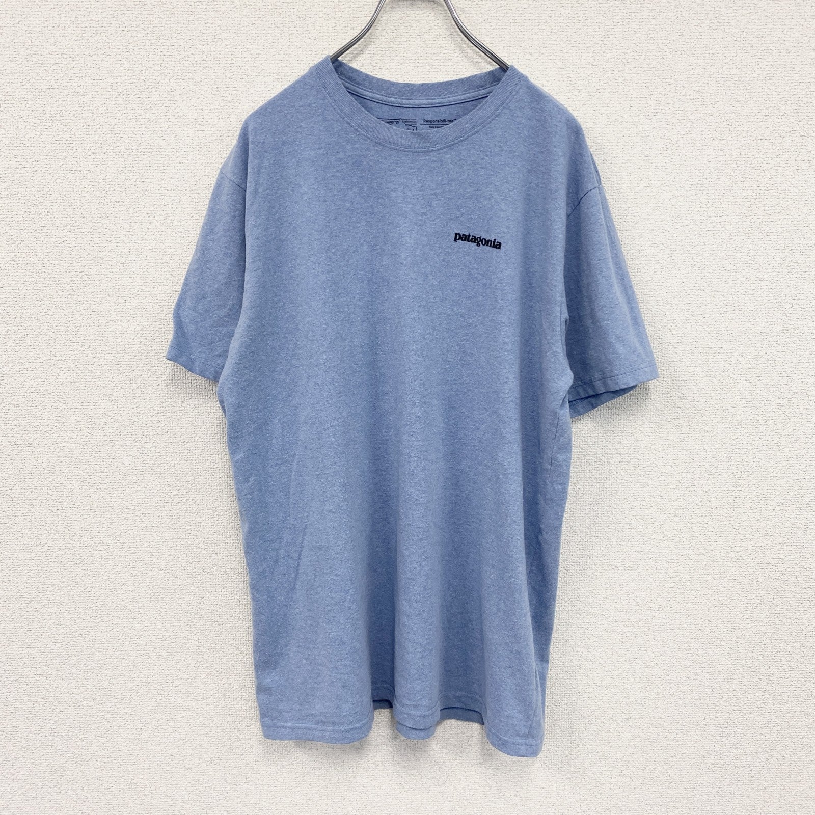 patagonia　パタゴニア　半袖プリントTシャツ　水色　ライトブルー　Lサイズ