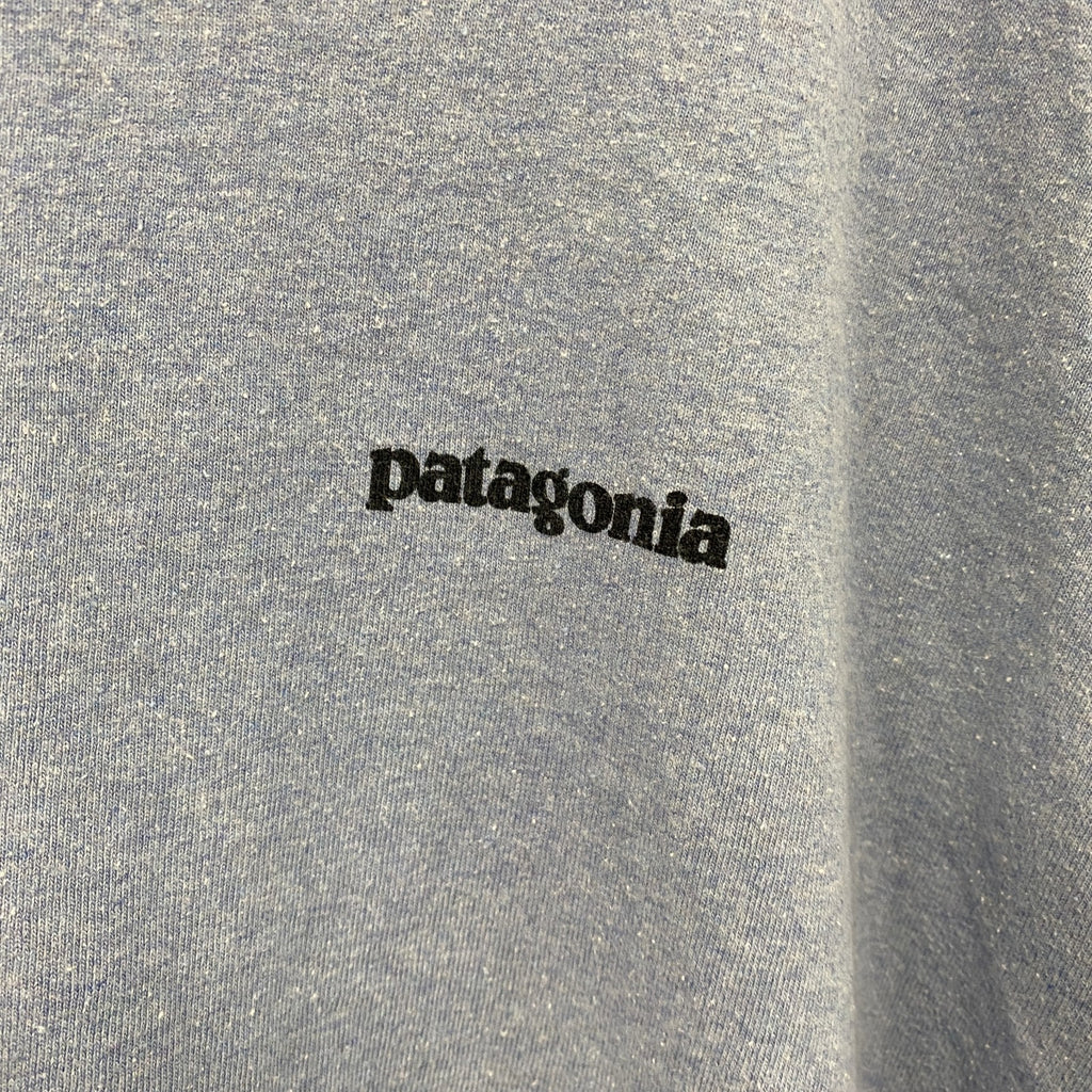 patagonia　パタゴニア　半袖プリントTシャツ　水色　ライトブルー　Lサイズ