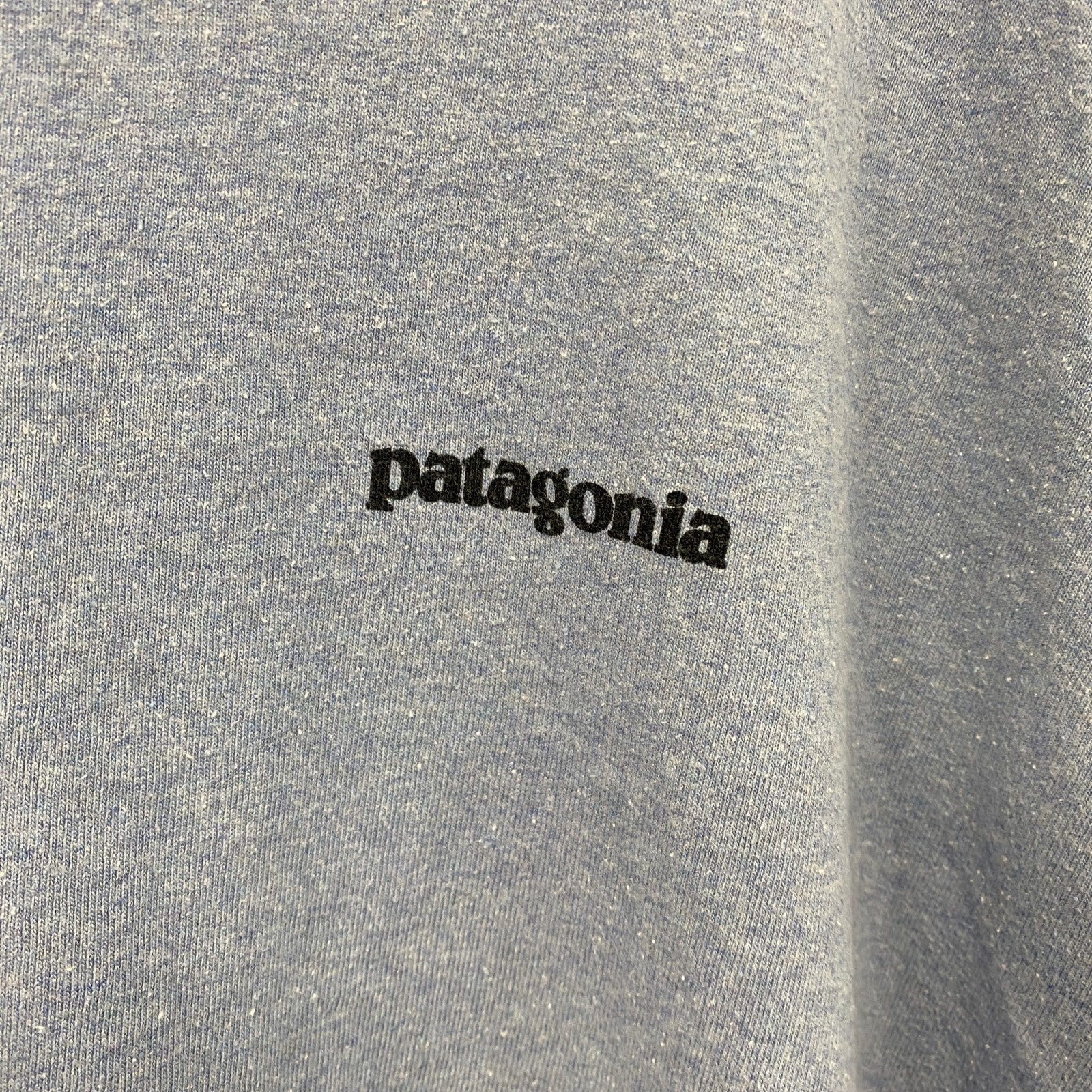 patagonia　パタゴニア　半袖プリントTシャツ　水色　ライトブルー　Lサイズ