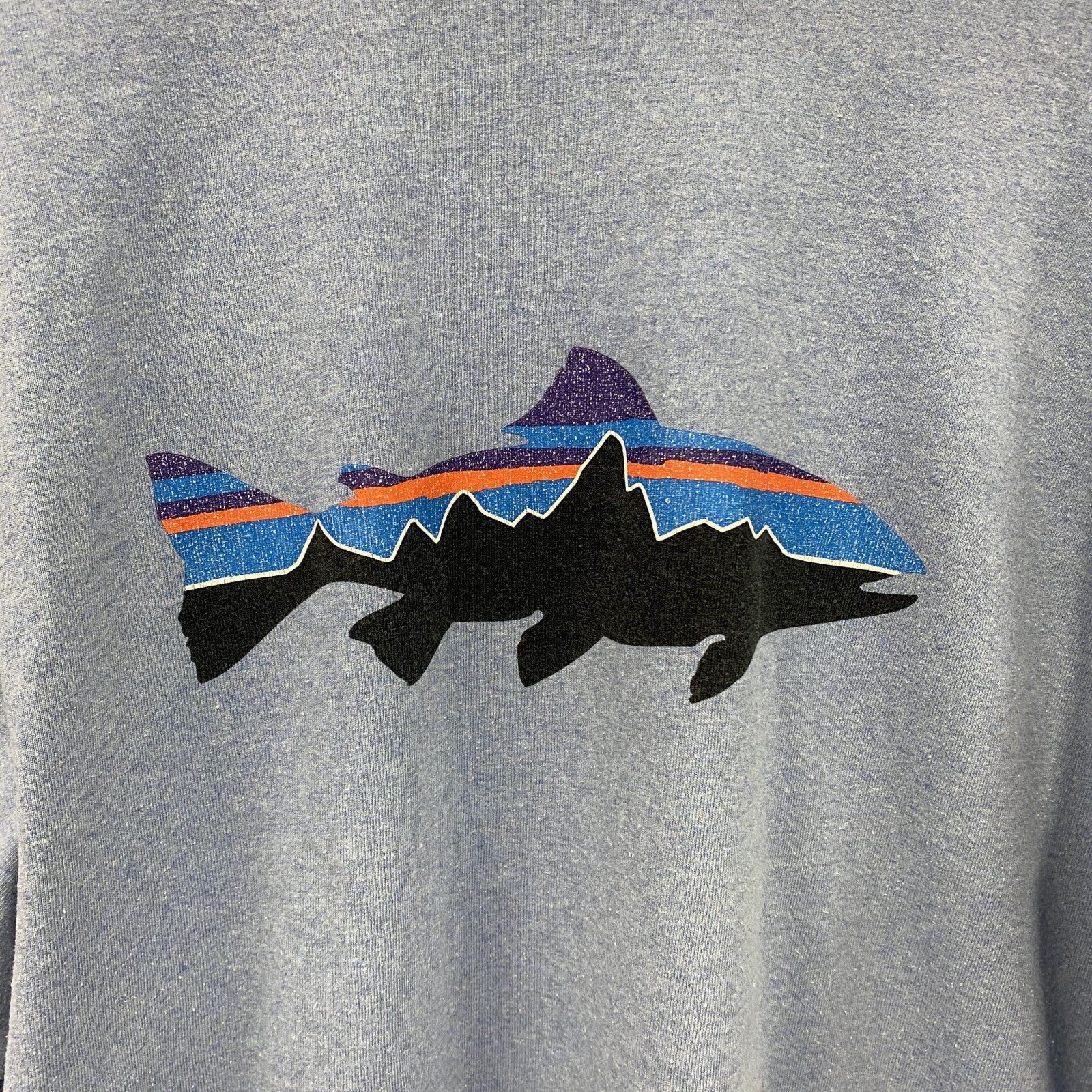 patagonia　パタゴニア　半袖プリントTシャツ　水色　ライトブルー　Lサイズ